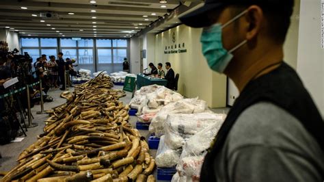 Hong Kong Ivory Seizure Largest In 30 Years Cnn