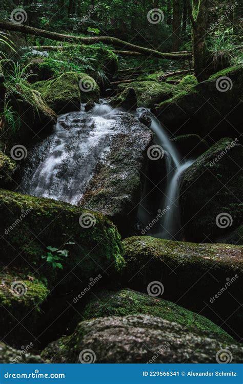 Gertelbach Bwaterfalls Of The Black Forest Schwarzwald Baden