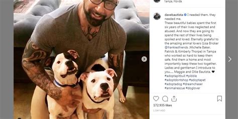 Actor Dave Bautista Is Now Guardian To 2 Abandoned Pit Bulls