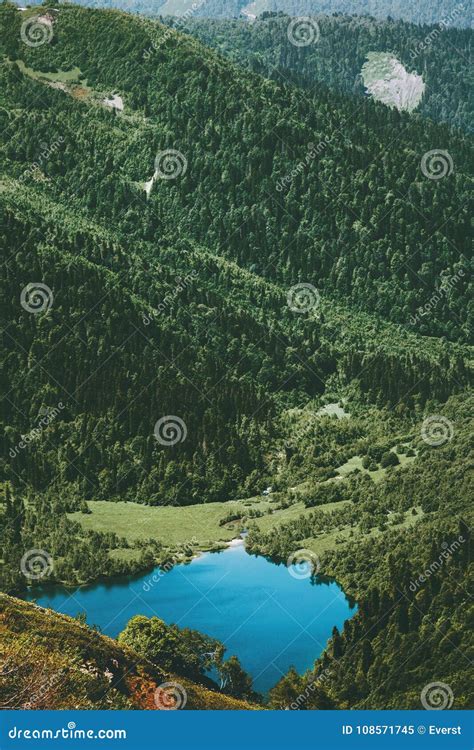 Blue Lake And Coniferous Forest Landscape Travel Stock Image Image Of