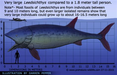 Top‭ ‬10‭ ‬prehistoric Fish