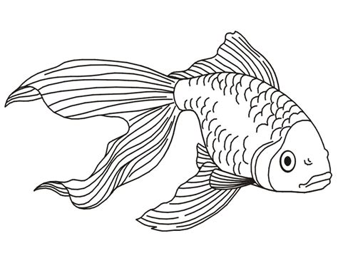 Download and print these free printable fish coloring pages for free. Free Printable Goldfish Coloring Pages For Kids