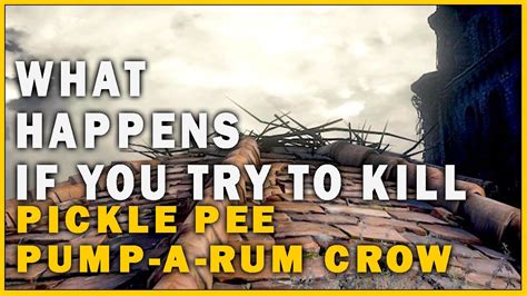 What Happens If You Try To Kill Pickle Pee Pump A Rum Crow In Dark