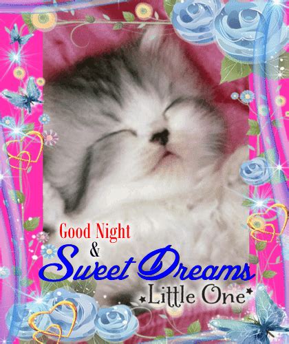 Fabulous Animated Good Night  Picture With Sleeping A
