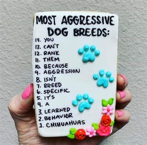 Most Aggressive Dog Breeds Rmeme