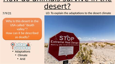 Ks3 Desert Animal Adaptations Teaching Resources