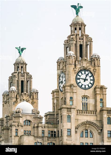 Zoomed View Of Clock Towers Of Royal Liver Building With Cormorant