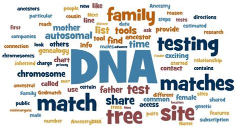 Relationship Dna Testing Y Chromosome Dna Testing Face Dna Test