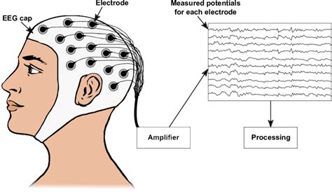 1 Sketch Of How To Record An Electroencephalogram An Eeg Allows