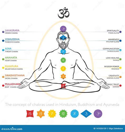Chakras System Of Human Body Used In Hinduism Buddhism And Ayurveda Man In Padmasana Lotus