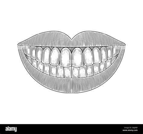 Smiling Mouth Showing Teeth Vintage Engraving Drawing Style Vector