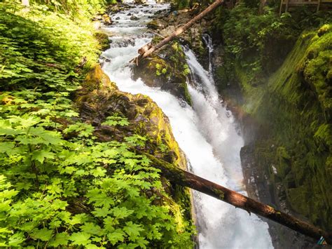 Sol Duc River Trail Olympic National Park • Mb Guiding