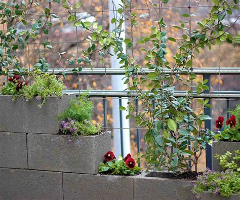 Privacy Wall And Cement Block Vertical Garden Vertical Herb Garden
