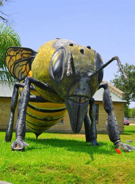 Worlds Largest Killer Bee Hidalgo Tx Roadside Attractions Pin