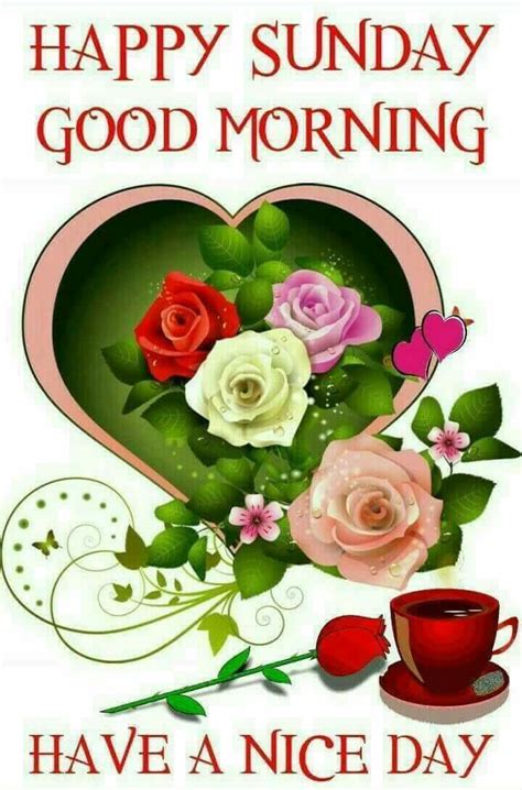 These good morning sunday are too good for sharing and wishing. Pin by Sietske Elske van Dijk on Zondag en Woensdag | Good ...