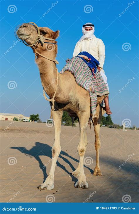 Arab Man Riding A Camel In The Desert Editorial Stock Photo Image Of