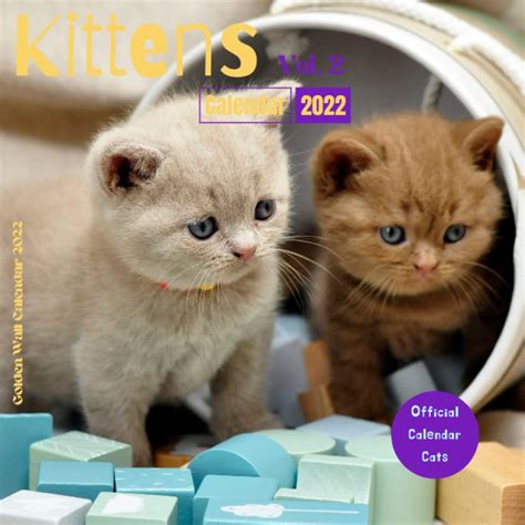 Buy Kittens 2022 16 Monthly View Uk Mini And Office S 2022 September