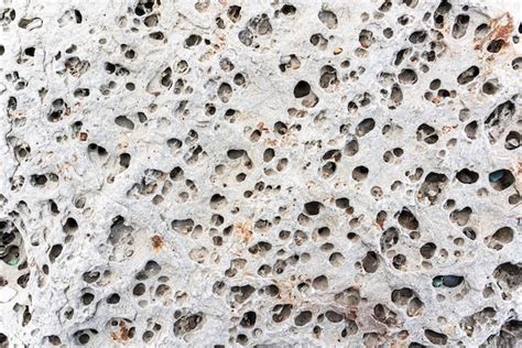 Premium Photo Texture Of Porous Stones On The Beach Nature Natural