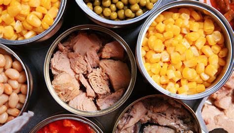 Almost Everything You Need To Know About Canned Food A World Of