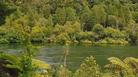 Waikato River Trails Photos