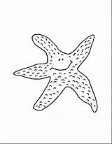 Starfish Coloring Sae Drawing Outline Seas Oceans Getdrawings Printable Coloringpages101 Cartoon sketch template