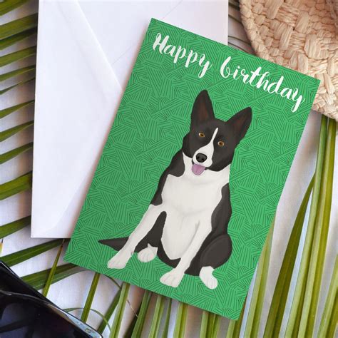 Cute Border Collie Lola Wishes You A Happy Birthday Dog Birthday