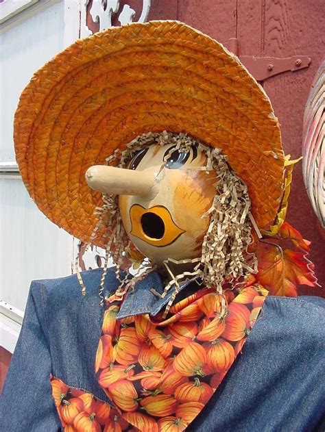 20 Fabulous Garden Scarecrow Ideas In 2020 Scarecrows For Garden Scarecrow Fall Scarecrows