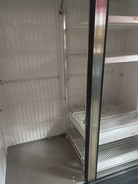 True 2 Door Merchandising Freezer Lit Restaurant Supply