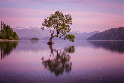 Lake Wanaka The Alone Tree New Zealand