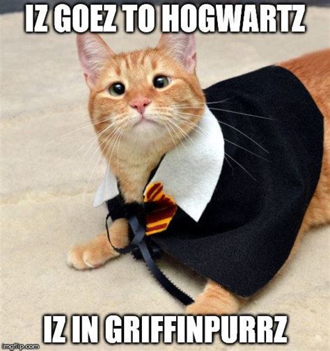 100 Harry Potter Memes That Will ~always~ Make You Laugh Funny Cats