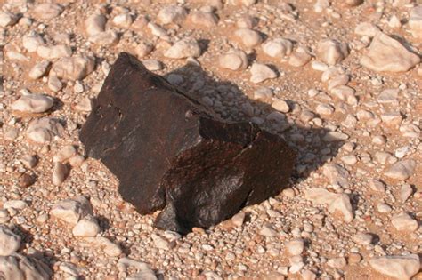 Oman Meteorite Hunt