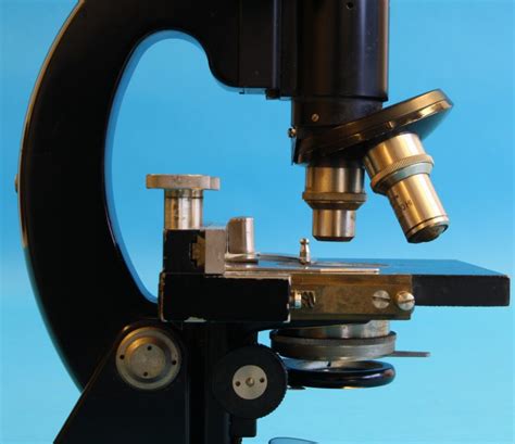 Compound Achromatic Microscope Type S Binocular Tube Stichting Voor