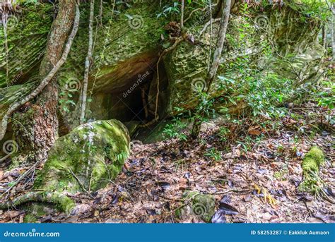 Moss Covered Of Cave In Rainforest Stock Image Image Of Outside