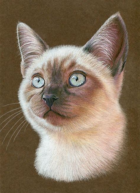 How To Draw A Cat Karen Hull Color Pencils On Toned