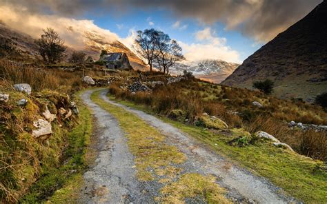 Nature Landscape Abandoned House Old Road Mountain Grass Trees