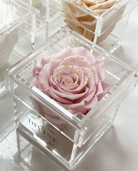 Single Mini Preserved Rose In Acrylic Box My Divine Decors Flower