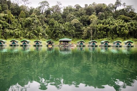 Elephant Hills Rainforest Camp Luxury Hotel In Khao Sok