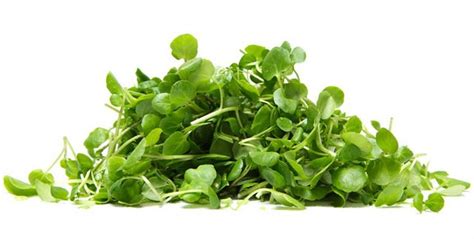 Feb 28, 2020 by faith vandermolen · as an amazon associate i earn from qualifying purchases · 584 words. The 40 Best Low-Calorie Foods