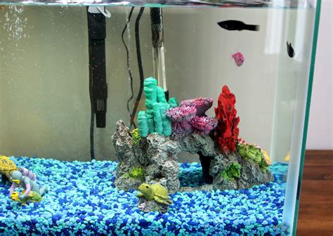 Everyone can have a normal aquarium. PetSmart Fish: Why our home will always have fish ...