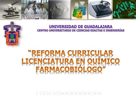 Ppt “reforma Curricular Licenciatura En QuÍmico FarmacobiÓlogo