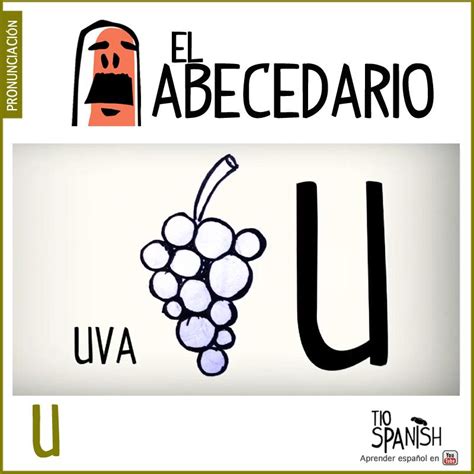 Alphabet {sustantivo} modismo · abecedario ; Letra U (u).Aprender el abecedario español, alfabeto. ** Letter U (u ...