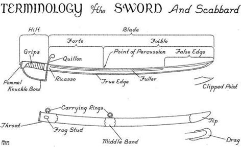 Swordduelingcom Western Sword Anatomy Terminology Writing