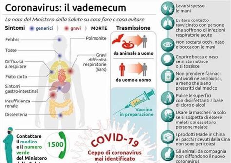 Video Coronavirus Oms Cos Il Covid Sintomi E Prevenire Contagio