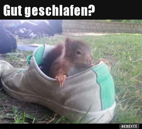 Gut geschlafen?.. - DEBESTE.de
