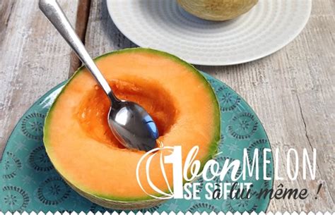 Comment Sait On Qu Un Melon Est Mur