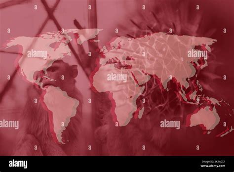 Monkeypox new disease dangerous over the world. Monkeypox virus. Red