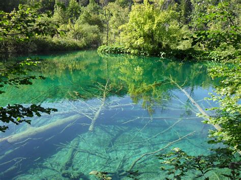 Check spelling or type a new query. Free Images : forest, lake, river, stream, jungle ...