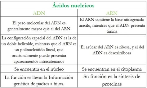 Diferencias Entre Adn Y Arn Cuadro Comparativo