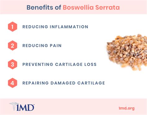 Apresflex Boswellia Serrata The Benefits And Dosage Information 1md