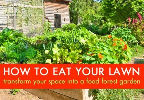 How to build your keyhole garden. DIY: How to Maximize Your Growing Space with Keyhole ...